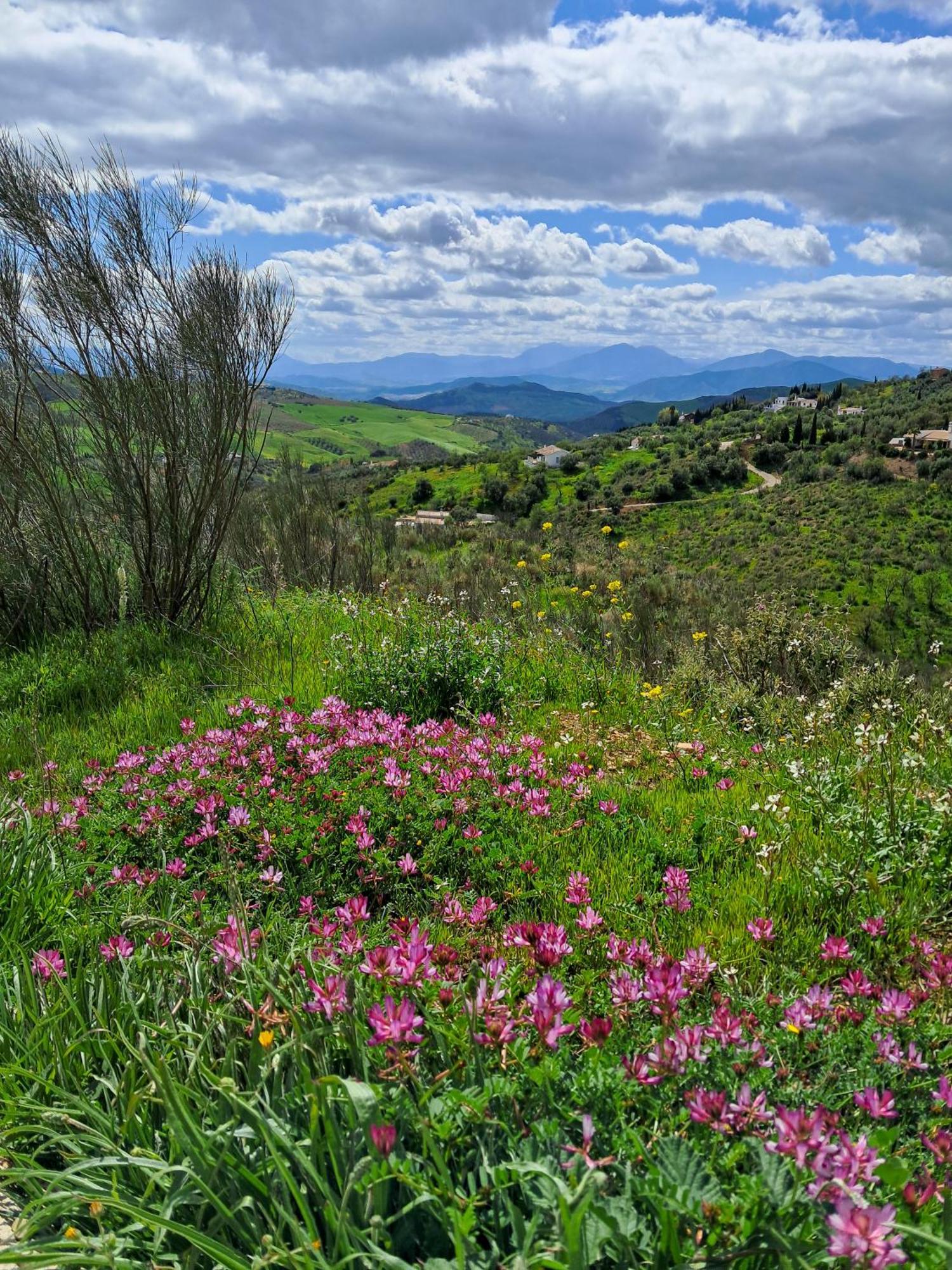 Finca Amorosa Villanueva de la Concepción 외부 사진